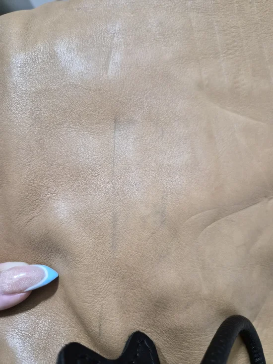 Coach Leather Hobo Shoulder Bag in Tan - Picture 5 of 5